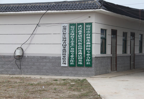 办公室1_基地展示_江苏杉荷园农业