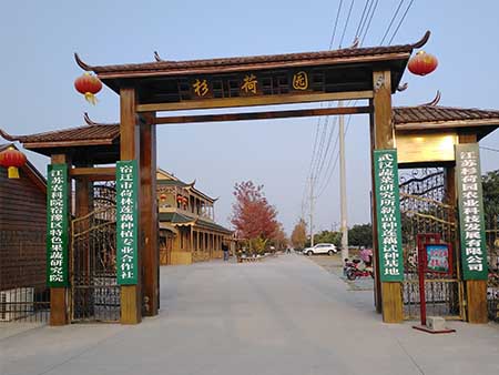 未标题-2