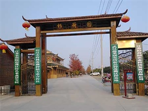 衫荷园2